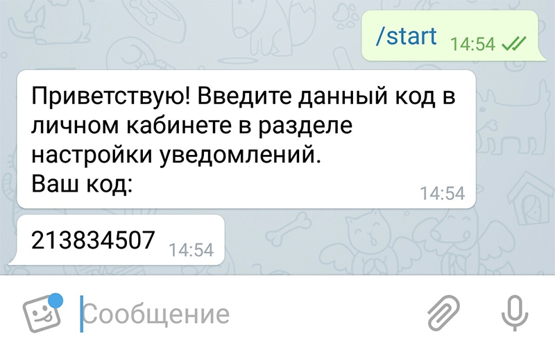 1560955031672-889.png